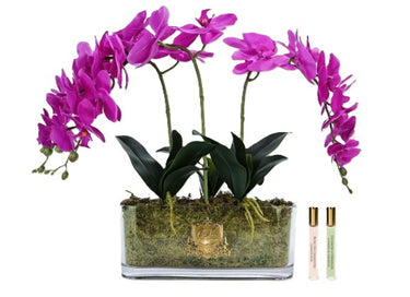 Oval Orchid Bouquet - Fuschia - OOV09 (Carton of 1)